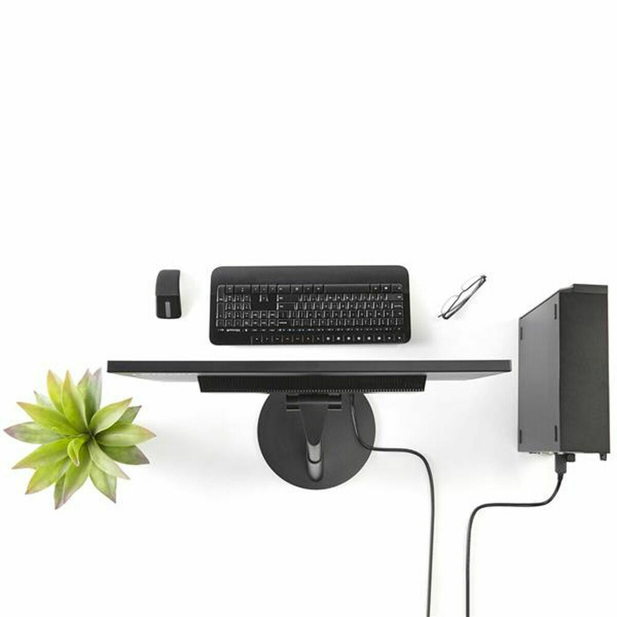 DisplayPort to DVI Adapter Startech DP2DVI2MM6 (1,8 m) Black 1.8 m