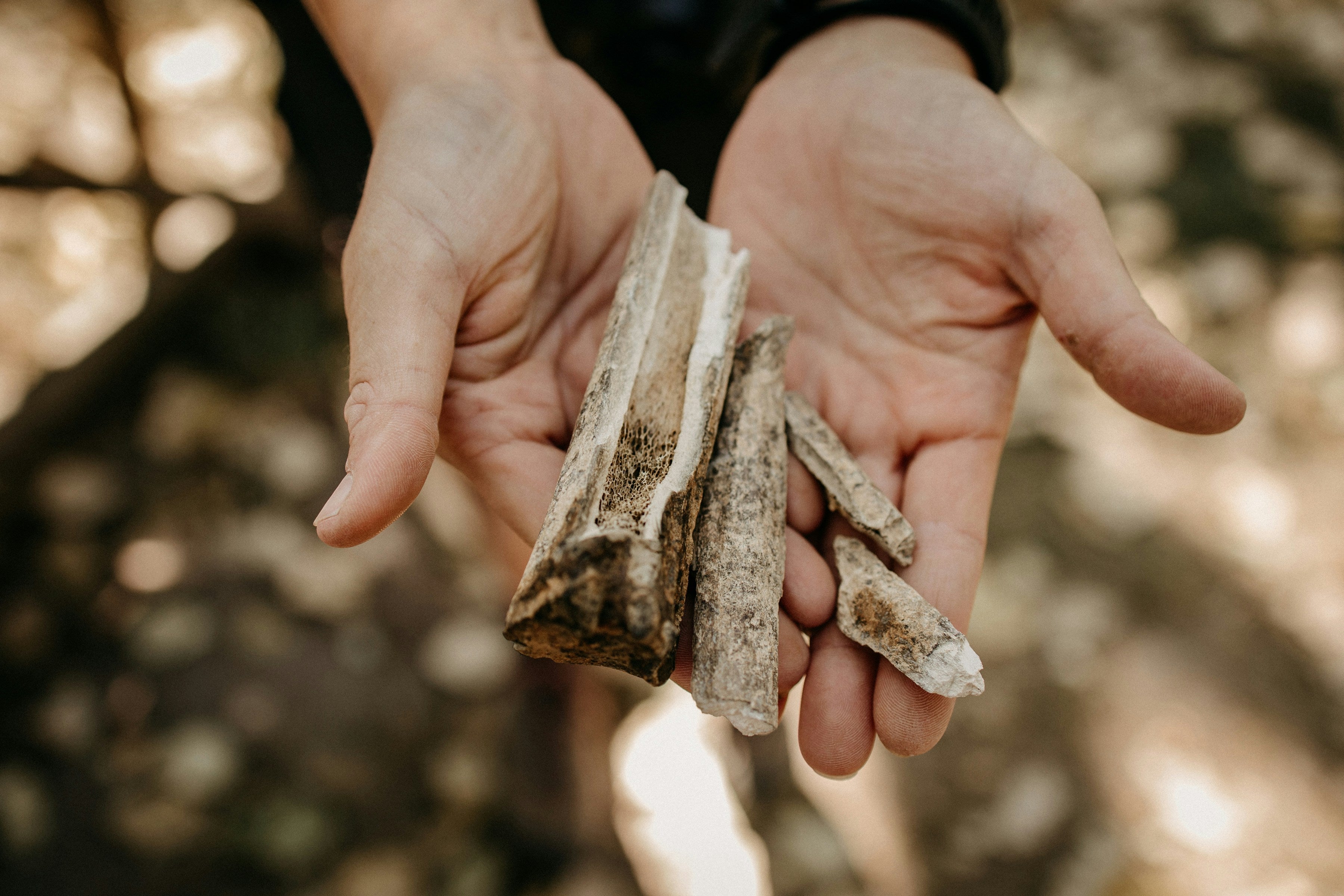 Behind the Layers: Why Conservation work is more than "repairing" the past