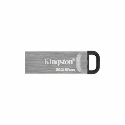 Pendrive Kingston DTKN/256GB USB 3.2 Silver Black 256 GB