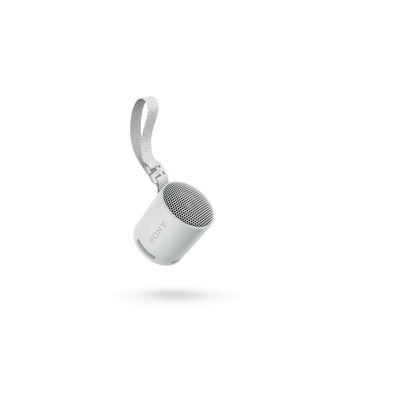 Portable Bluetooth Speakers Sony SRS-XB100 Grey