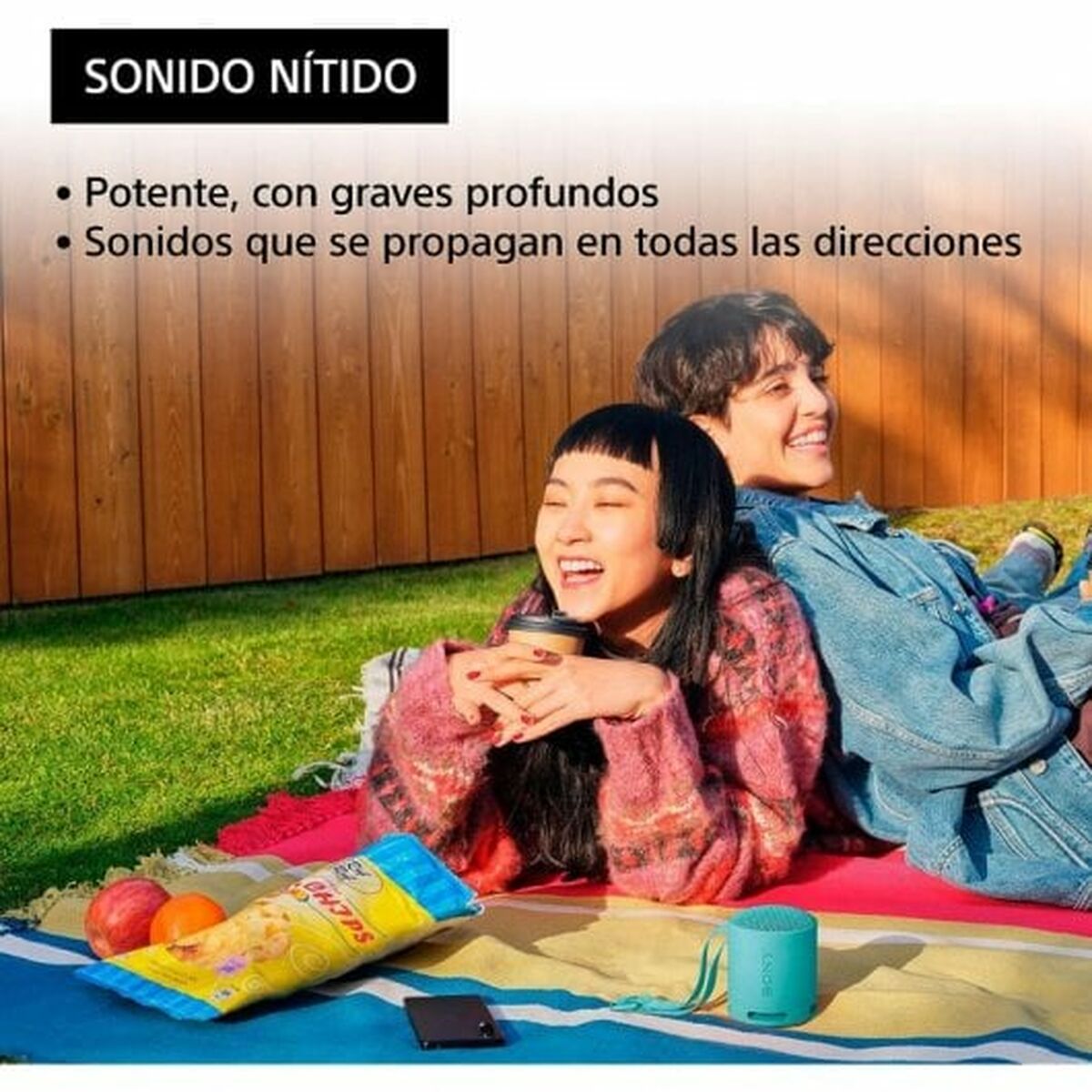 Portable Bluetooth Speakers Sony SRS-XB100  Blue