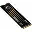 Hard Drive MSI 2 TB SSD