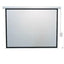 Projection Screen FONESTAR PPEL-43100-FA 100"