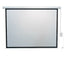 Projection Screen FONESTAR PPEL-43100-FA 100"