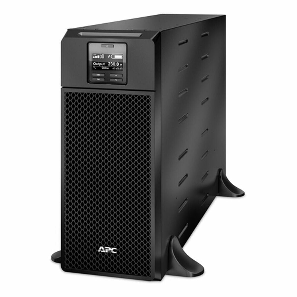 Interactive UPS APC SRT6KXLI