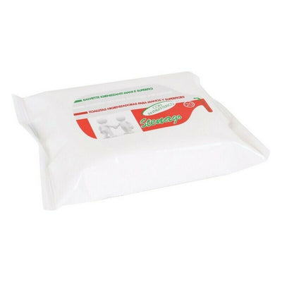 Sanitizing Wet Wipes (16,5 x 12 x 3 cm) (20 uds)